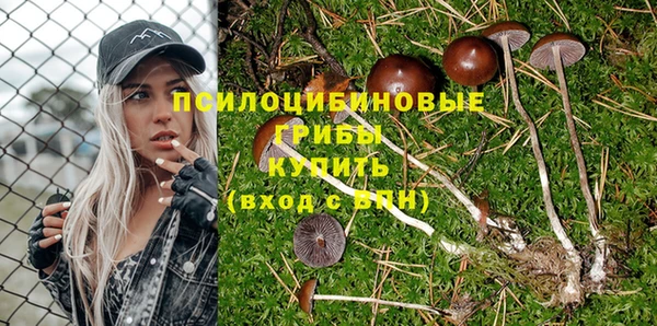 герыч Аркадак
