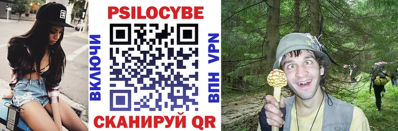 дарнет шоп  Кубинка  Галлюциногенные грибы Psilocybe 