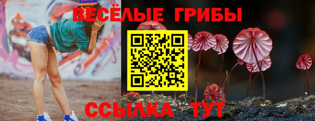 Псилоцибиновые грибы Psilocybe  Галлюциногенные грибы Psilocybine cubensis  Вход с VPN  Кубинка 